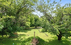 602 Wes Michael Road, Bonham, TX 75418