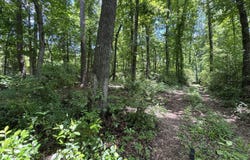Tbd A Confederate Highway, Fairfax, SC 29827