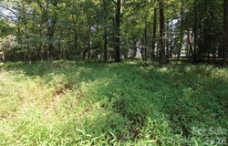Webster Road, Stoneville, NC 27047