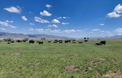 366 County Rd. 31A, Cedarville, CA 96104