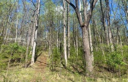 2728 E Branch Loop, Roseland, VA 22967