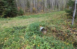 Deer River Line, Littlefork, MN 56653