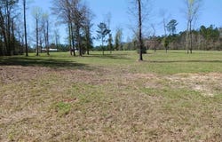 806 Walthall Rd, Newton, TX 75966