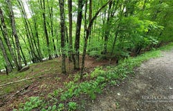 130 E Blueberry Lane, Beech Mountain, NC 28604