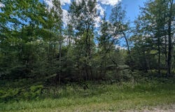 Bordeau Road, Standish, MI 48658