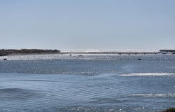 94304 WEDDERBURN Loop, GoldBeach, OR 97444