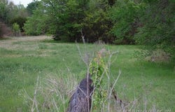 N B Street, Henryetta, OK 74437
