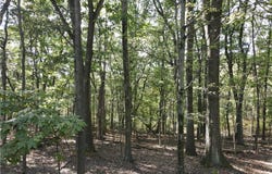 Harrold St (Parcel B), Jeannette, PA 15644