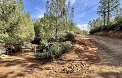 20 Acres Jones Valley, Redding, CA 96008