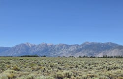 1205 Stephanie Way, Minden, NV 89423