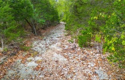 40 Barton School Road, Brumley, MO 65017