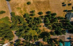13534 S Ridgeview Dr, Harrison, ID 83833