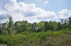 24 Askin Place, Culloden, GA 31016