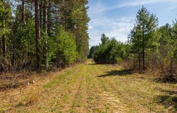 Prairie Road E, Osseo, WI 54758