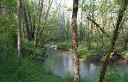 Golf Course Road lot: 1-2, Newport, TN 37821