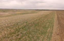 000 113th St, Barnard, SD 57426