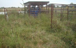 170 Wharton Rd, Cadiz, KY 42211