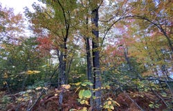 Baker Road, Bangor, NY 12956