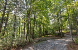 Fenley Forest lot: 11, Cullowhee, NC 28723