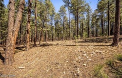 County Road 2325, Alpine, AZ 85920
