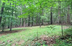 Molly Mann Rd, HINTON, WV 25951