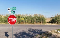 Bolton Rd, Cibolo, TX 78124