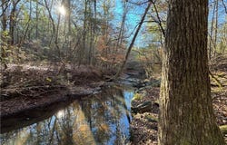 PLEASANT, CAMP HILL, AL 36850