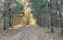 Old Capps Road, Harrison, AR 72601