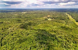 5 Hickory Lane, Waverly, TN 37185