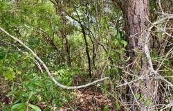 Edison Avenue, Alford, FL 32420