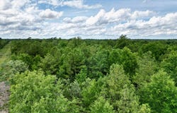 Charleston Highway, Williston, SC 29853