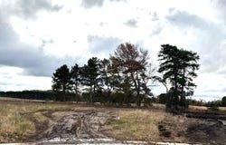 960 3rd Avenue SW, Rice, MN 56367