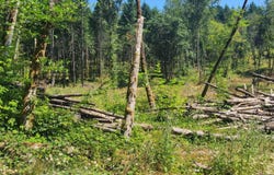 SE ZION HILL Dr, Damascus, OR 97089