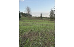 232 Suncrest Dr, CastleRock, WA 98611