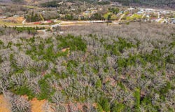Mm Highway lot: 1, Gainesville, MO 65655