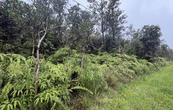 OHIA AVE, Mountain View, HI 96771
