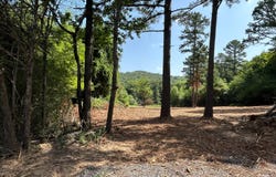 7412 Pierce Road, Ozark, AR 72949