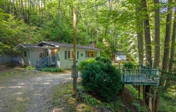 704 Cheek Circle Road, Whittier, NC 28789
