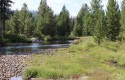 L49 Secesh River Road, McCall, ID 83638