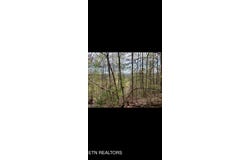 Watson Hollow Rd, Speedwell, TN 37870