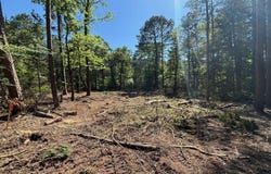 ZINNIA RD, Diana, TX 75640