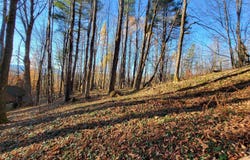 535 Collar Hill Road, Calais, VT 05648
