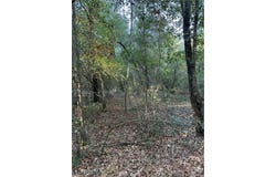Simmons Street, Guyton, GA 31312
