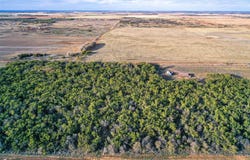 CR 129, Rule, TX 79547