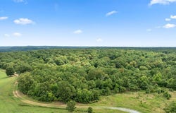 Tract 9 Styles Road, Noel, MO 64854