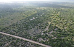 Alejandrenas Road, Zapata, TX 78076