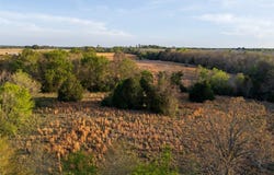 County Road 117, Elkhart, TX 75839