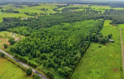 Black Hill Rd., Damascus, AR 72054