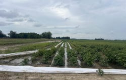 clay 312 Road, McDougal, AR 72441