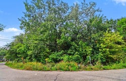 Polvadera Street, Commerce Twp, MI 48382
